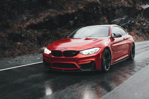 What Are the Essential Steps to Introduce a New Pet to Your Home?